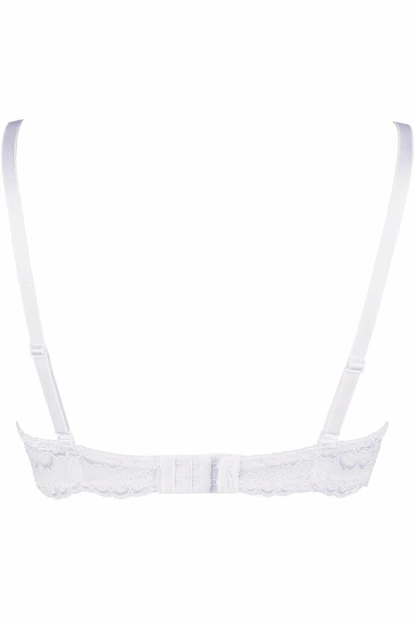 Axami Lingerie Bra V-9541 6 Axami Lingerie Bra V-9541