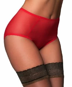 Nylon Dreams Lingerie Sheer Mesh Black Knickers NDBSK