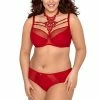 Axami Lingerie Bra V-8431 Plus
