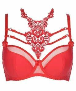 Axami Lingerie Bra V-8431 Plus