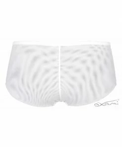 Axami Lingerie Briefs V-6313 Vin