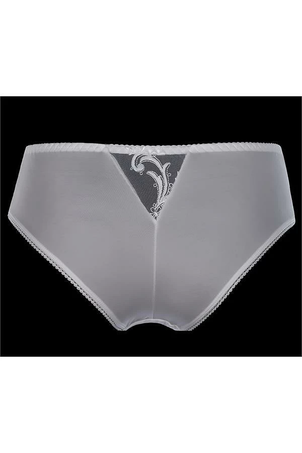 Axami Lingerie Briefs V-6823 Chandelles 5 Axami Lingerie Briefs V-6823 Chandelles