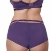 Axami Lingerie Briefs V-8473