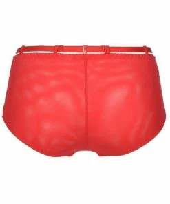 Axami Lingerie Briefs V-8483