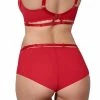 Axami Lingerie Briefs V-8483