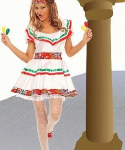 Elegant Moments USA Lovely Lolita Fancy Dress Costume