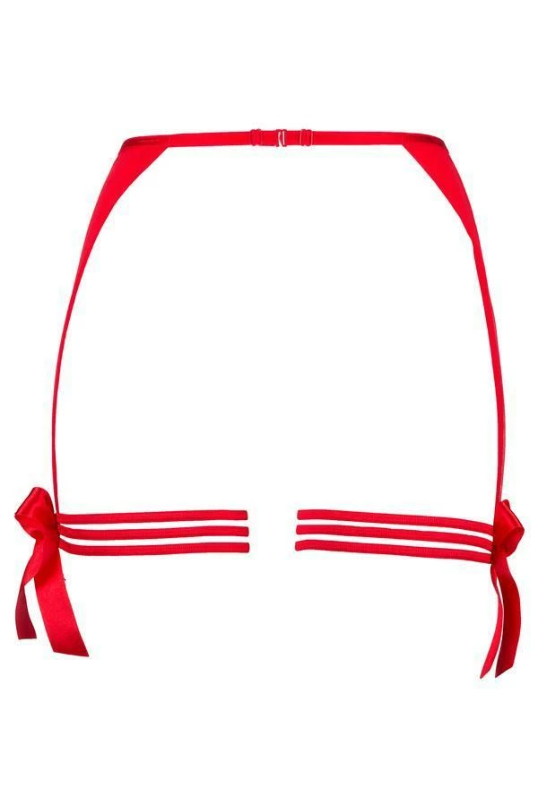 Axami Lingerie Garter Belt V-6652 Heat 7 Axami Lingerie Garter Belt V-6652 Heat