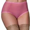 Nylon Dreams Lingerie Sheer Mesh Pink Knickers NDBSK