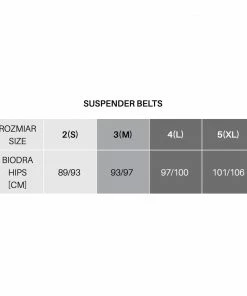 Fiore Hosiery Lingerie Suspender Belt With Panties Lover