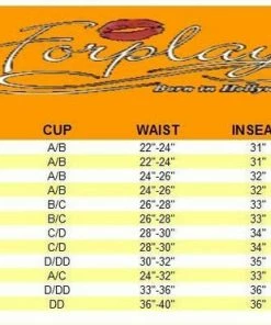 Forplay Lingerie Wet-Look And Mesh Body