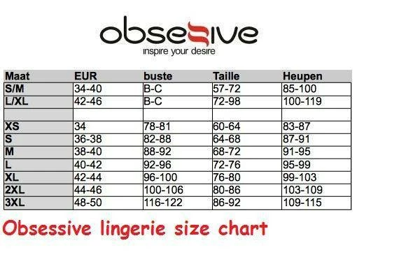 Obsessive Lingerie Poland Seductive Lingerie Dress 5 Obsessive Lingerie Poland Seductive Lingerie Dress