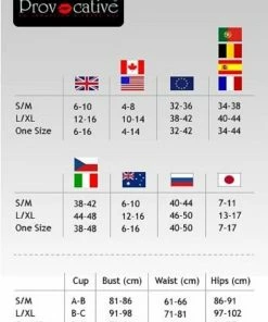 Provocative Lingerie France Costumes French Maid Set