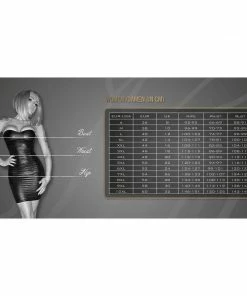 Noir Handmade Poland Tulle Long Dress With Corset