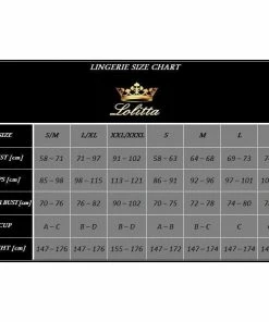 Lolitta Lingerie Erotic Hosiery Wet-look Collar, Corset, Stockings And Thong Set